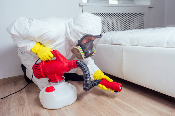 Best Bed Bug Extermination  in Coleraine, MN
